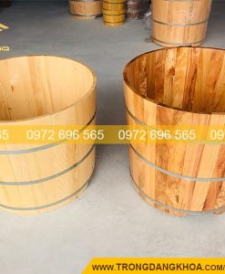 Thiết kế độc đáo của bồn tắm tròn gỗ pơ mu bo viền 2 lớp
