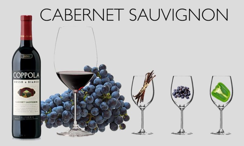 Đặc điểm của rượu vang làm từ giống nho Cabernet Sauvignon